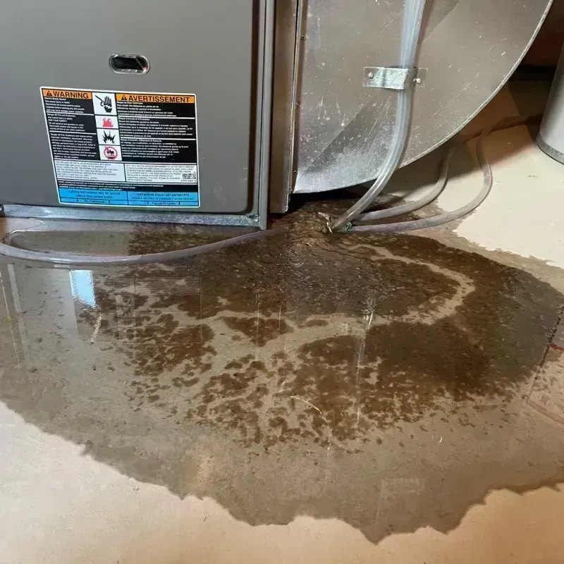 Appliance Leak Cleanup in Vienna, MO